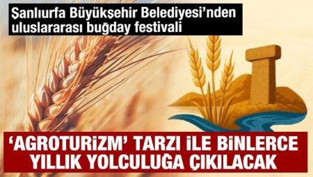 Şanlıurfa Büyükşehir Belediyesi’nden memleketler arası buğday şenliği